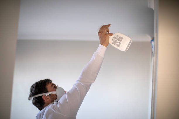 Best Toxic Mold Removal  in Mount Hope, WV