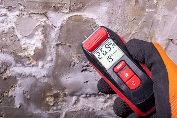 Best Mold Removal Near Me  in Mount Hope, WV