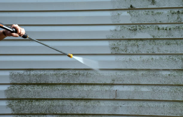 Home Mold Removal in Mount Hope, WV