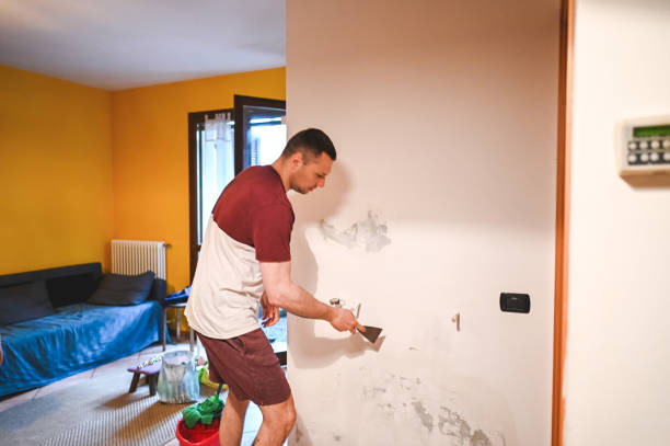 Best Water Damage Restoration  in Mount Hope, WV